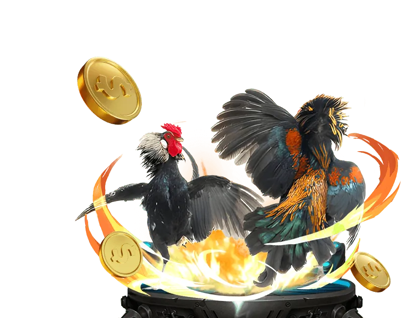 Cookie và công nghệ theo dõi tại game b66